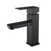 Black wash basin faucet