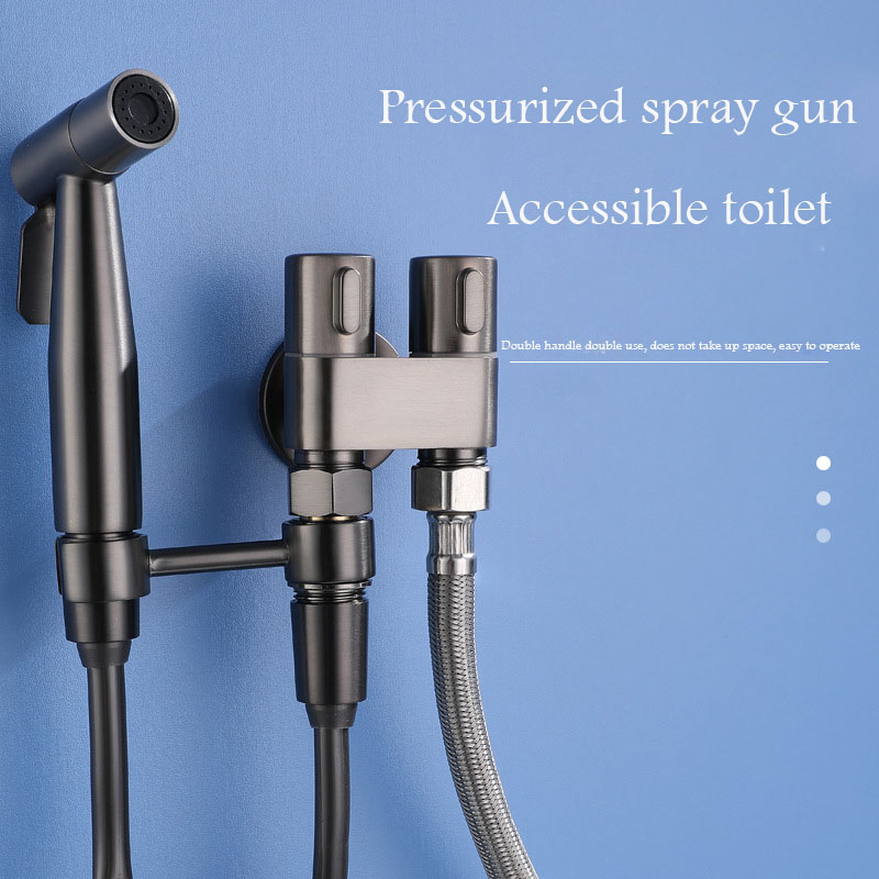 Toilet companion airbrush flusher has many functions